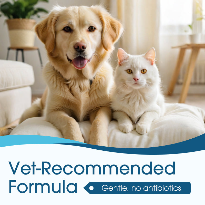 🐶🐱 Ear cleaner 💎| Relieves itching in dogs & cats 👂